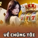 About Us - A Safe and Transparent Online Sic Bo Gaming Platform