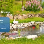 Clean Water, Gentle Flow Designing the Perfect Pond with a Solar Powered Fountain Pump and Solar Pond Pump and Filter