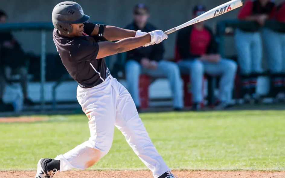 Playing It Right What Does it take to play Baseball