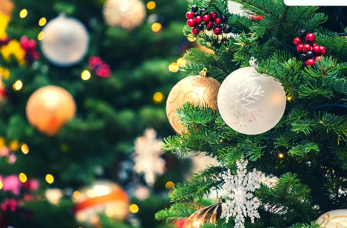 How Real Christmas Tree Delivery and Installation Saves You Time During the Festive Season