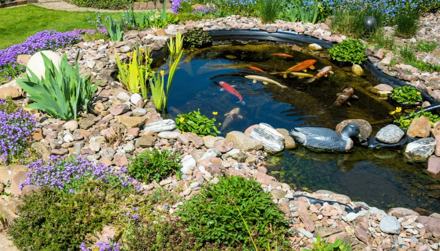 Is Your Backyard Missing Something The Magic of Water Features