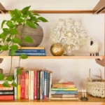 6 Creative Ways to Decorate With Plants