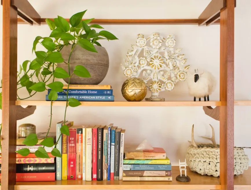 6 Creative Ways to Decorate With Plants