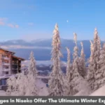 How Lodges In Niseko Offer The Ultimate Winter Experience 