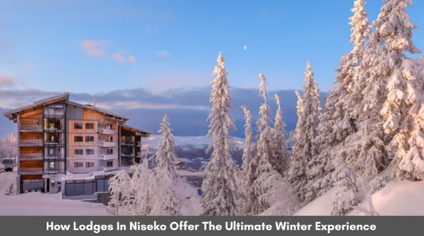 How Lodges In Niseko Offer The Ultimate Winter Experience 